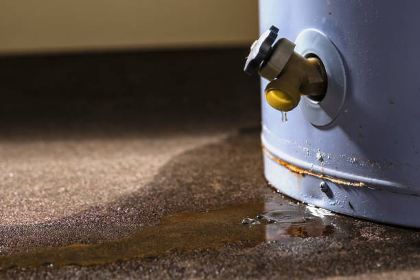 Best Carpet water damage restoration  in Moundsville, WV