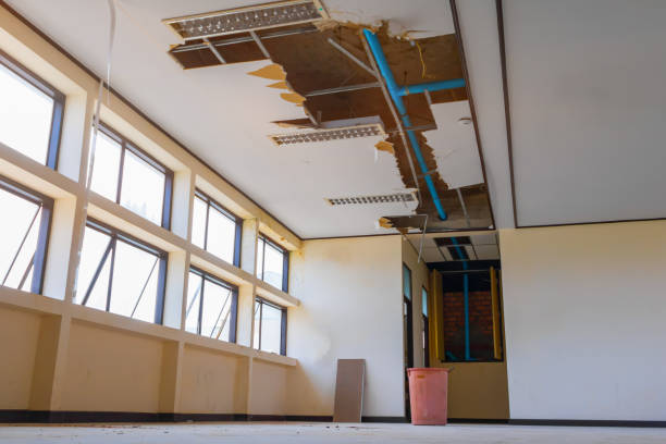 Best Commercial water damage restoration  in Moundsville, WV