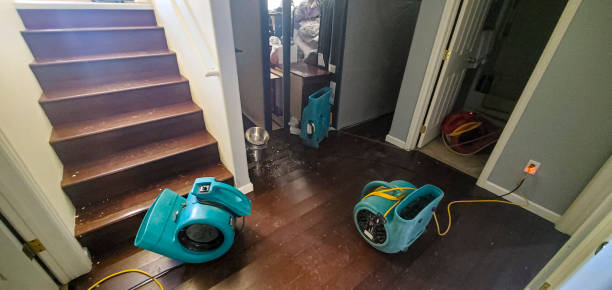 Best Water damage restoration near me  in Moundsville, WV
