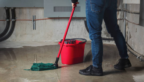 Best Emergency water damage restoration  in Moundsville, WV