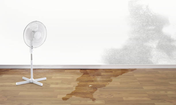 Best Water damage restoration near me  in Moundsville, WV