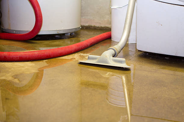 Best Water damage restoration near me  in Moundsville, WV