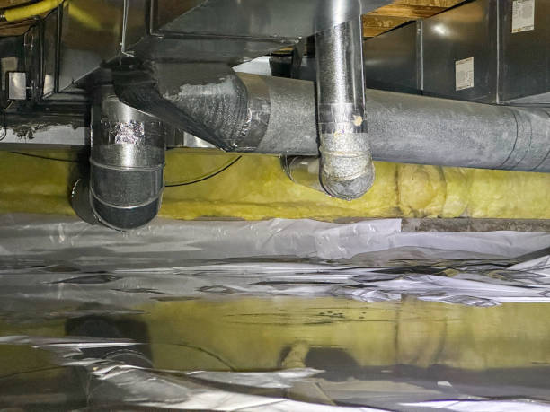 Best Flood damage cleanup  in Moundsville, WV