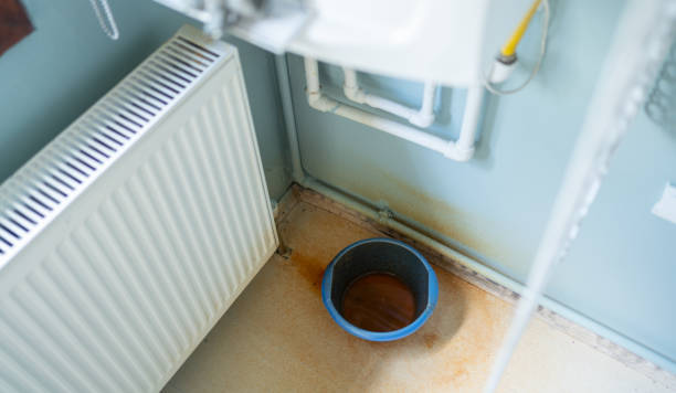 Best 24/7 water damage repair  in Moundsville, WV