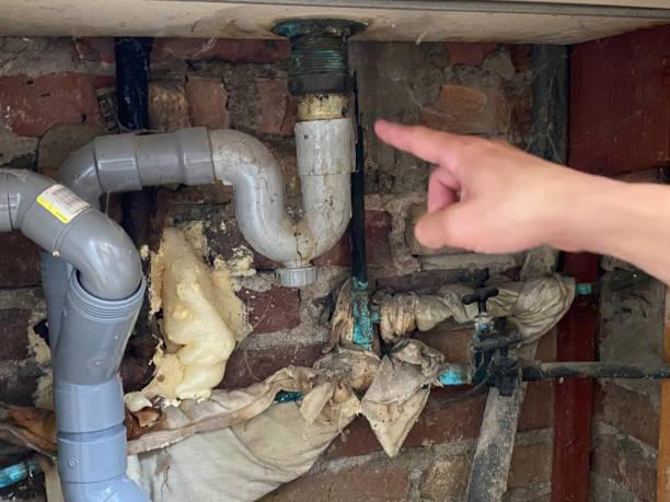 Best Flood restoration services  in Moundsville, WV
