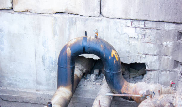 Best Professional water damage repair  in Moundsville, WV