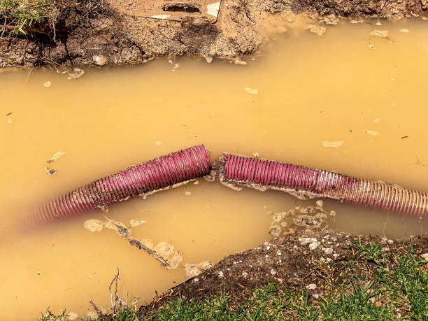 Best Sewage cleanup and water damage restoration  in Moundsville, WV