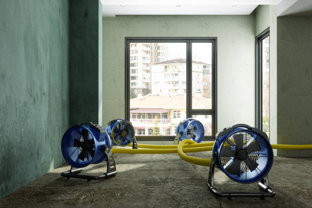 Best Local water damage restoration  in Moundsville, WV